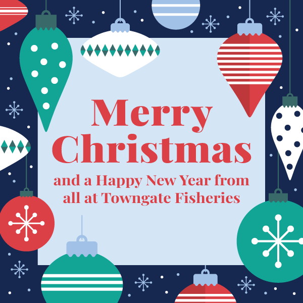 Merry Christmas from all at Towngate Fisheries