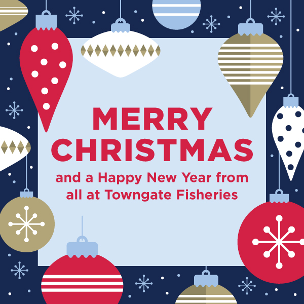 Merry Christmas from Towngate Fisheries